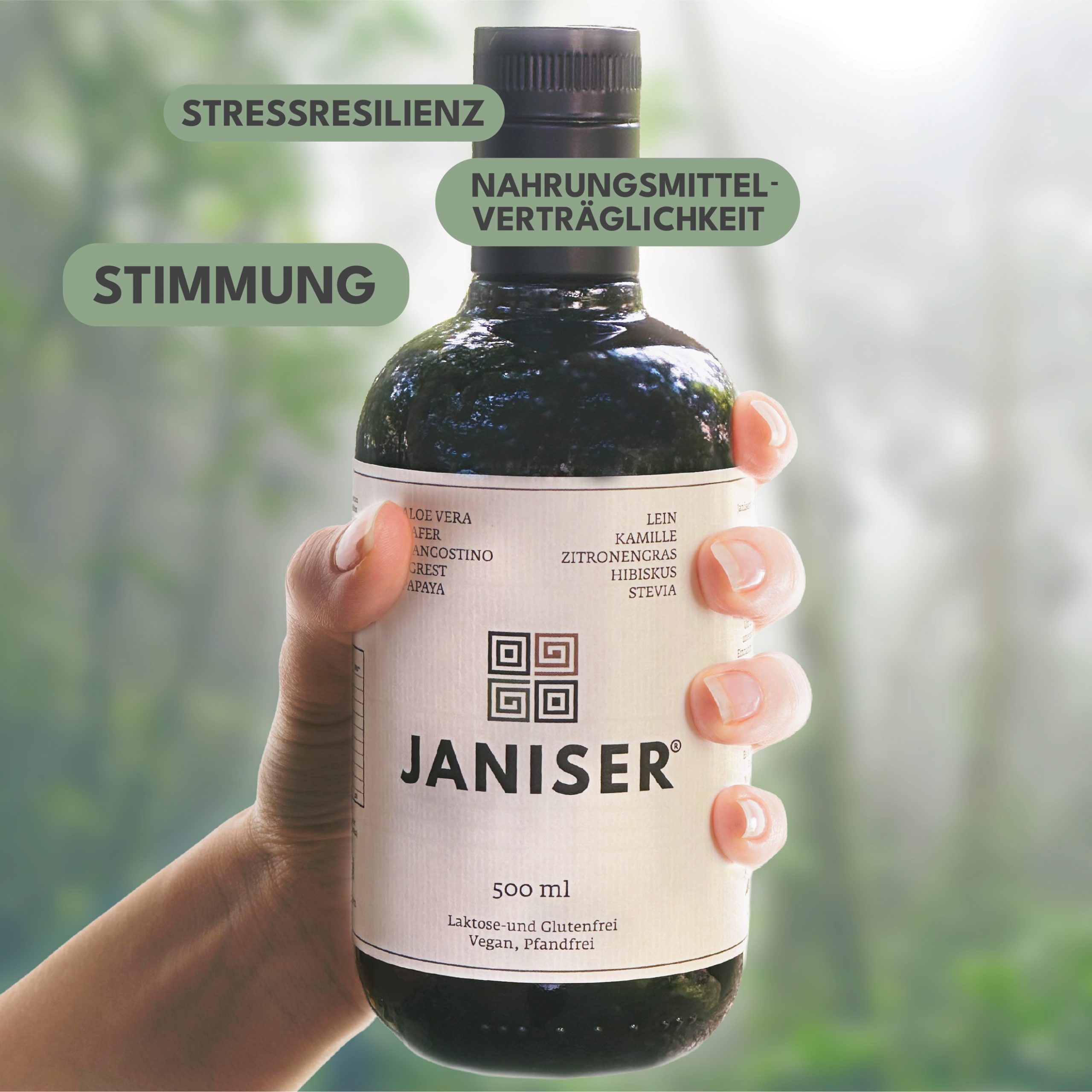 Janiser_Guide