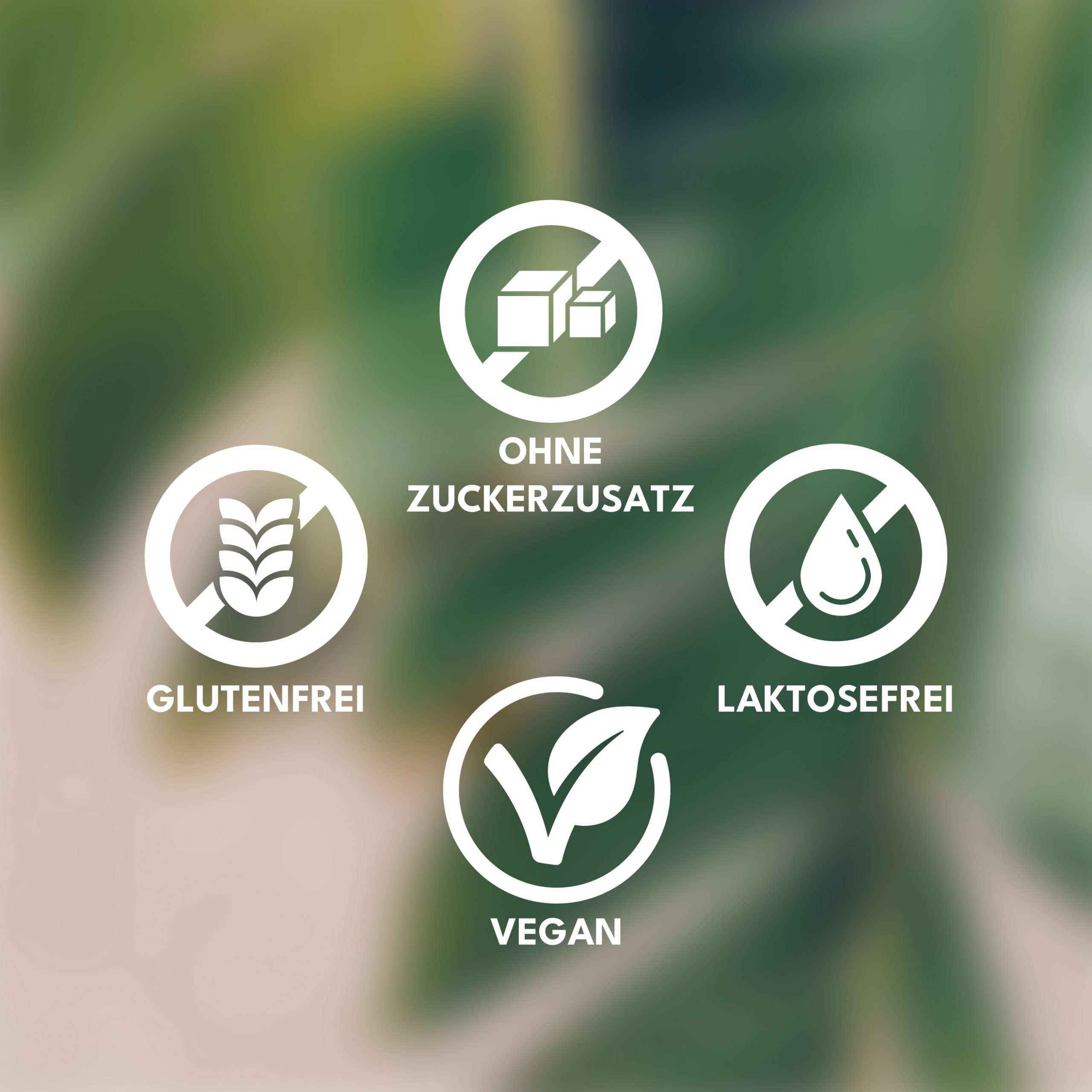 Janiser_Guide